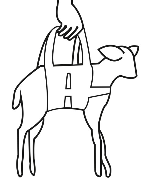 Harnais de pesée pour Cria