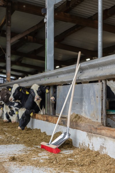 Pelle aluminium+manche