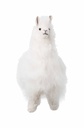 Alpaga BOUSSOLE (15 cm) en fourrure d'alpaga - Blanc