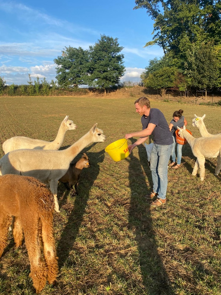 Cours de base Alpaga